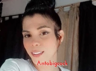 Antobigcock