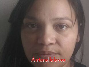 Antonellalovee