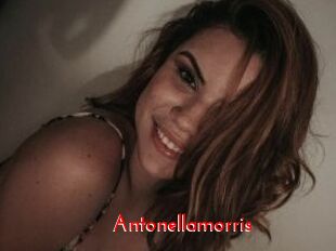 Antonellamorris