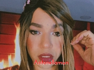 Antonellamun