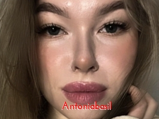 Antoniabasil