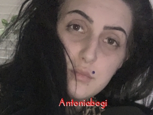 Antoniabogi