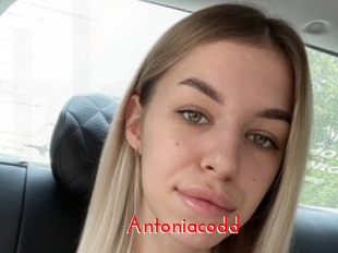 Antoniacodd