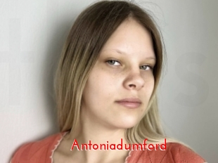 Antoniadumford