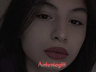 Antoniagitt