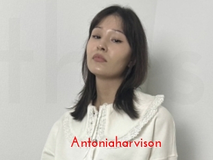 Antoniaharvison