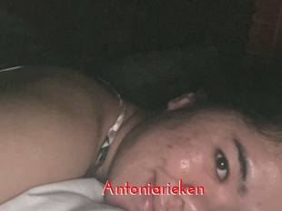 Antoniarieken
