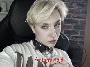Antonywaid