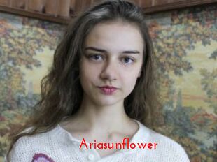 Ariasunflower