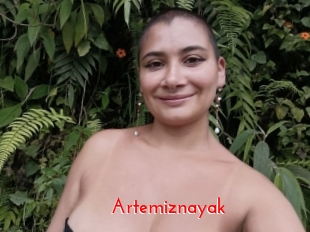 Artemiznayak