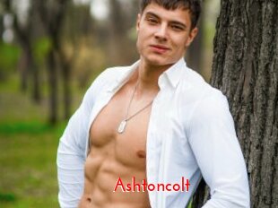 Ashtoncolt