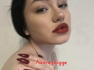 Audreybigge