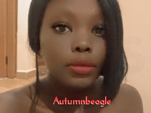Autumnbeagle