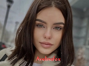 Avelinafox