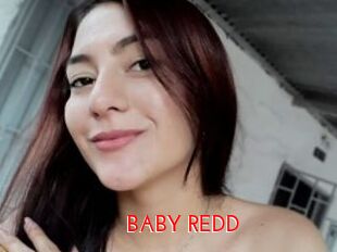 BABY_REDD
