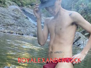 BOYALEXANDERCOCK