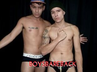 BOYS_BAREBACK The Sex