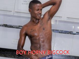 BOY_HORNY_BIGCOCK