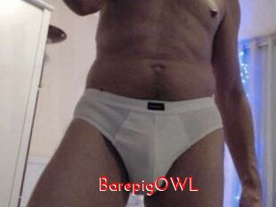 BarepigOWL The Sex