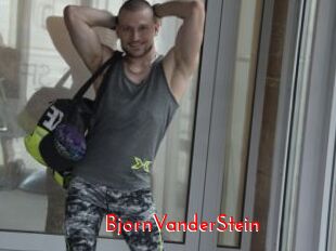 BjornVanderStein
