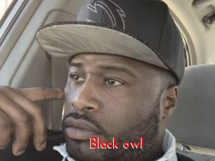 Black_owl