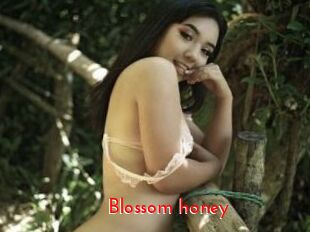 Blossom_honey