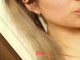Blue_jay