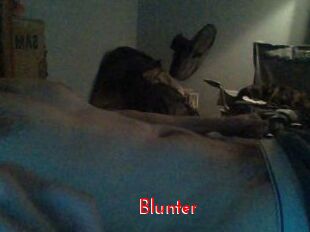 Blunter