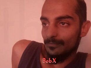 BobX The Sex