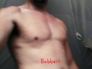 Bobbert