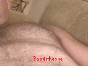 Bobsistheone