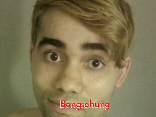 Bongsohung