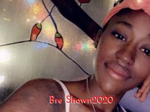 Bre_Shawn2020