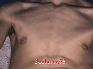 Badbunny75