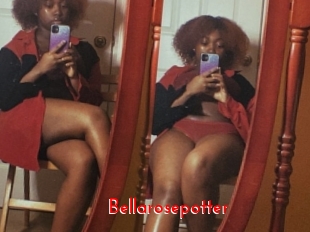 Bellarosepotter