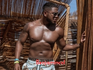 benjamincol The Sex