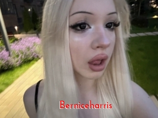 Berniceharris