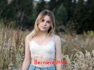 Berniecelittleb