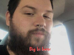 Big_bi_bear