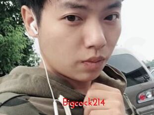 Bigcock214
