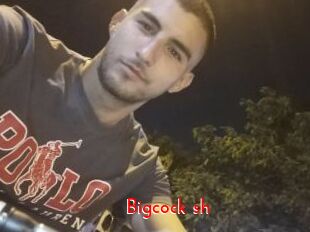 Bigcock_sh