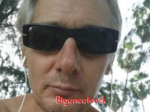 Biguncutcock