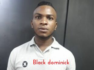 Black_dominick