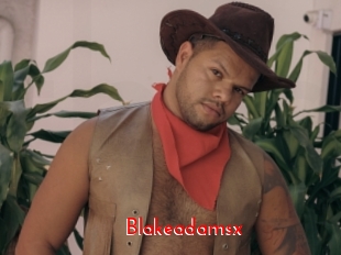 blakeadamsx The Sex