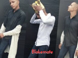 blakemate The Sex