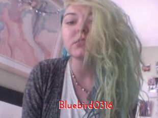 Bluebird0316