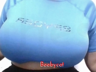 Boobycat