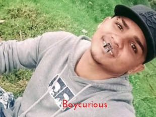 boycurious The Sex