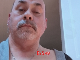 br549 The Sex