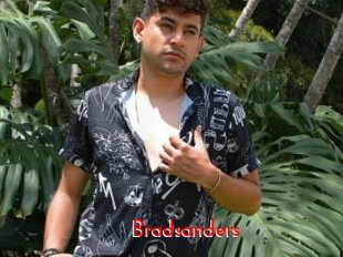 Bradsanders